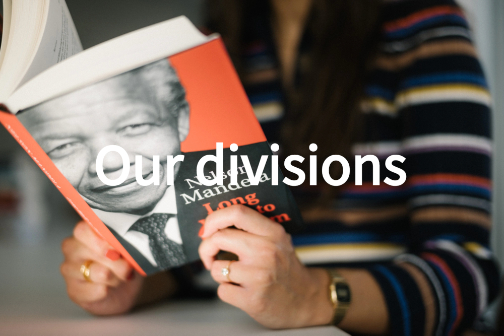 Our divisions